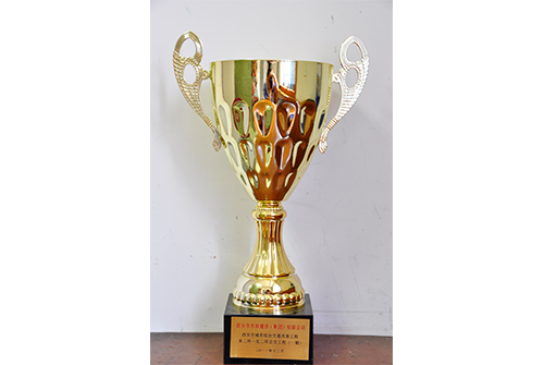 中国千亿国际工程协会千亿国际金杯树模工程