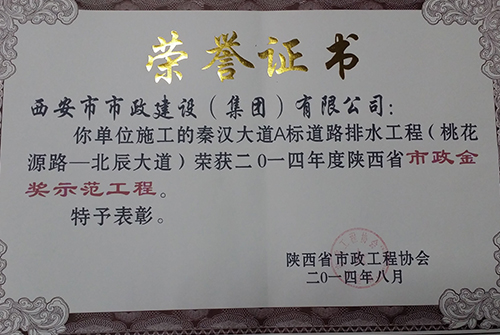 秦汉大道A标蹊径排水工程-省级千亿国际金杯树模工程