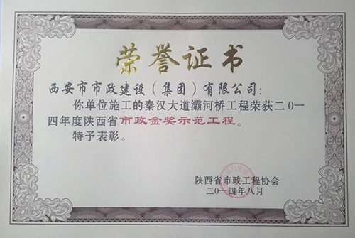 秦汉大道灞河桥工程省级千亿国际金杯树模工程