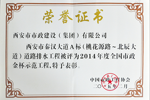 天下千亿国际金杯树模工程-秦汉大道