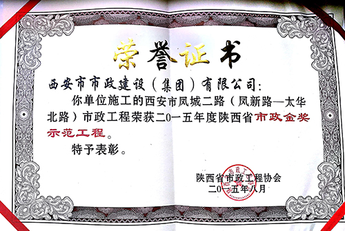 凤新路~太华路-千亿国际杯树模工程