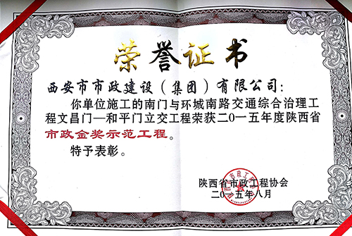 环城南路地下通道立交-千亿国际金杯树模工程