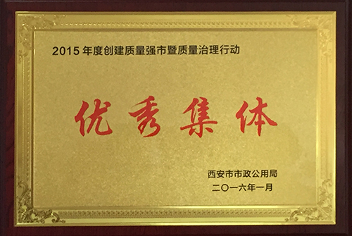 质量治理行动优异整体
