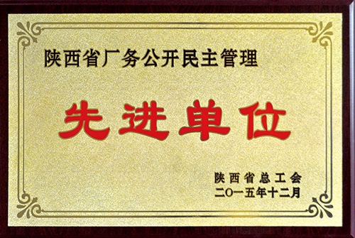 陕西省厂务果真民主治理先进单位
