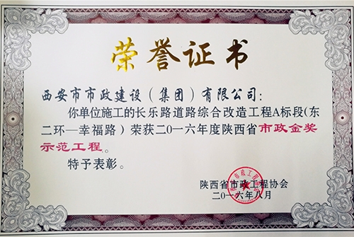 长乐路-千亿国际金杯树模工程
