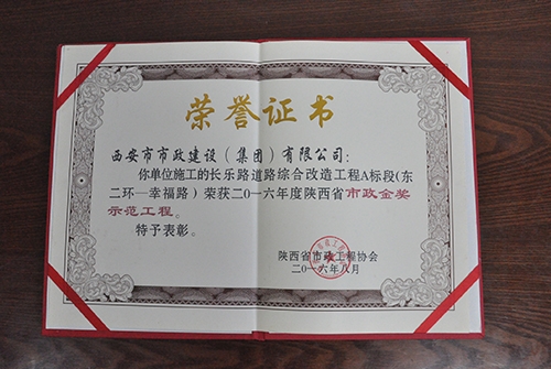 长乐路-千亿国际金奖树模工程