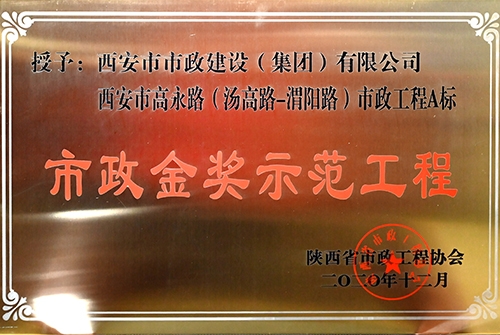 千亿国际金奖树模工程，，，，，，，，高永路