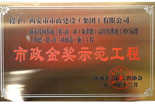 千亿国际金奖树模工程，，，，，，，，朱雀路高压线落地
