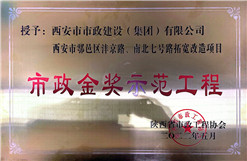 千亿国际金奖树模工程